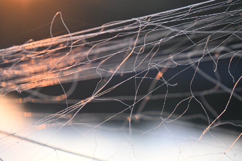 暮色中的渔网(Fishing nets at sunset)#sun #texture #abstraction #color暮色中的渔网(Fishing nets at sunset)#sun #texture #abstraction #color