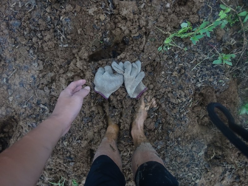 向前更新写博客时，找到了20年帮外公外婆在地里薅花生的照片(爷爷奶奶也正好在相邻的地块遛花生（一次薅完会有遗漏，再检查一遍的意思），但两家关系不太好，一直没有搭话)当时以为那是自己做的最底层、下力的工作了，现在想想——呵呵，也不过如此嘛！(从左到右