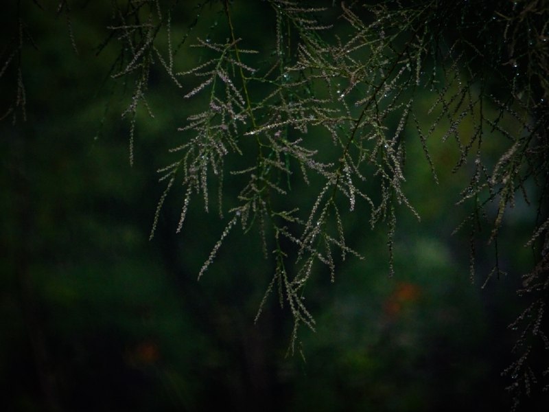 下雨天下雨天