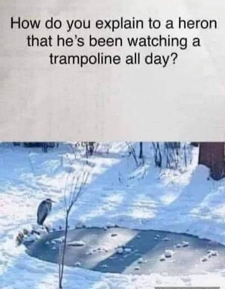 Post by 棘此鸟真乃滑天下之大稽也----------------------Meanwhile in Canada(@MeanwhileinCanada@ohai.social) says