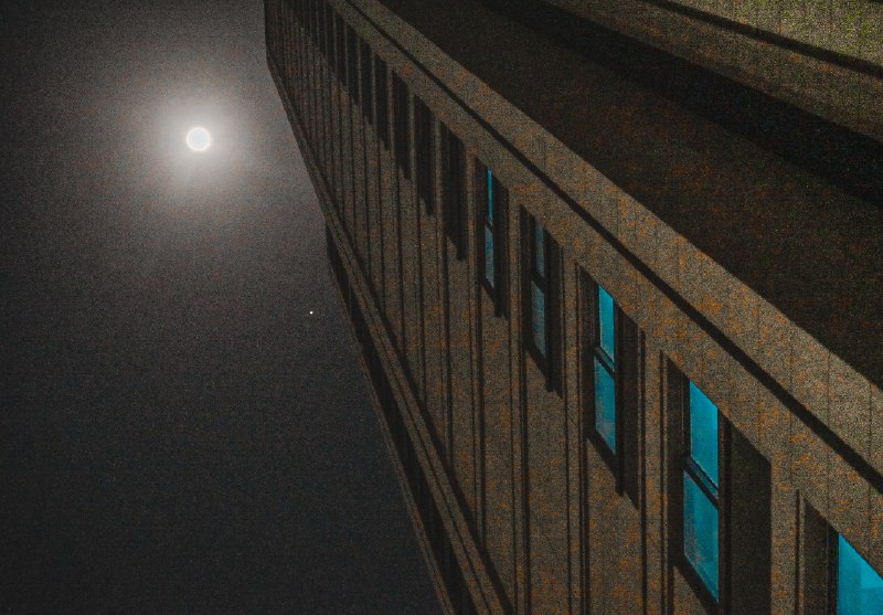Moonlight shadowMoonlight shadow