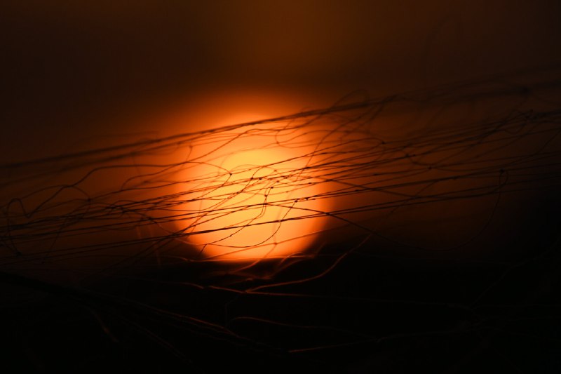 暮色中的渔网(Fishing nets at sunset)#sun #texture #abstraction #color暮色中的渔网(Fishing nets at sunset)#sun #texture #abstraction #color