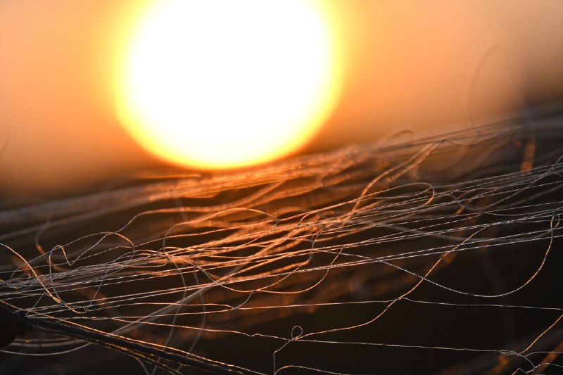 暮色中的渔网(Fishing nets at sunset)#sun #texture #abstraction #color暮色中的渔网(Fishing nets at sunset)#sun #texture #abstraction #color
