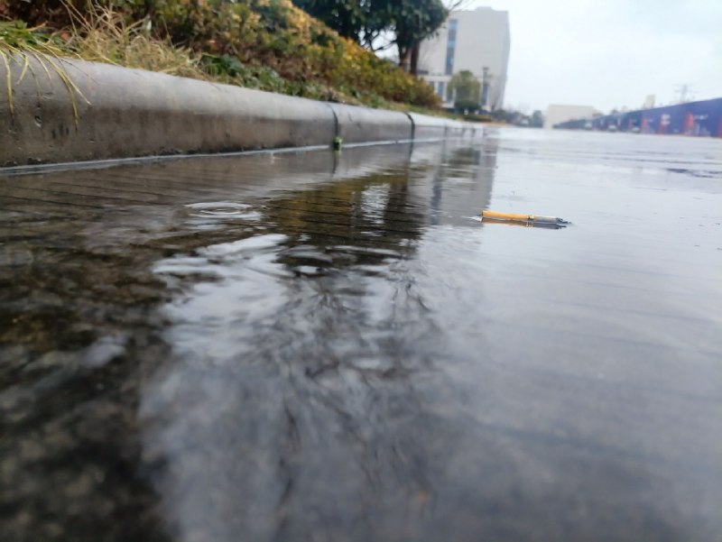 都不知道，原来下了一夜雨啊