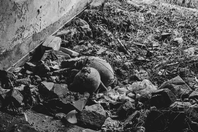 卸载残留(Residue after Urban decay)#city #waste #china #decay #humanity #fact扫街时候乱逛，无意中拍到了C市的阴暗面——废弃的居民楼里灌木从废墟中长出来，野草深深的旧工厂，山坳里的渣土堆边的菜田，臭水沟边被丢弃的服装人偶，路边被折断的键盘