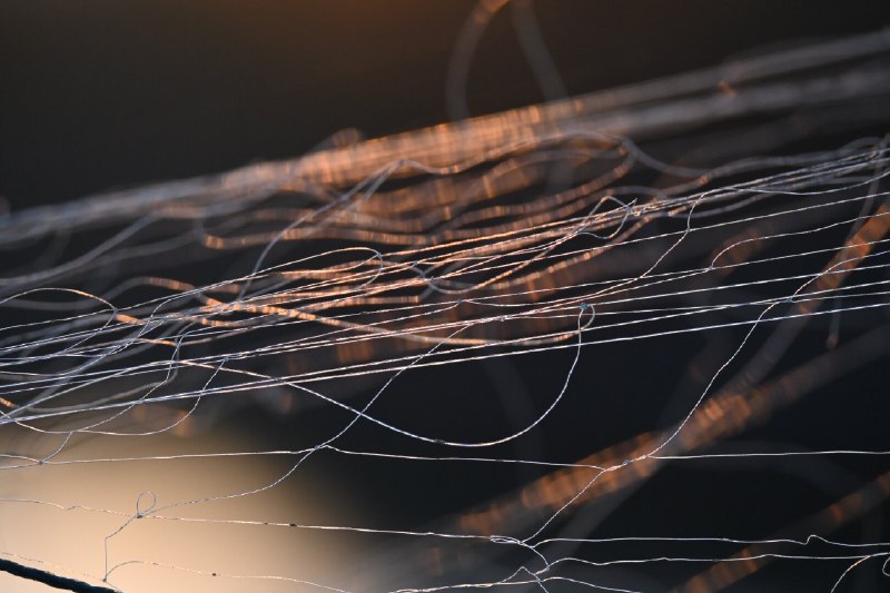 暮色中的渔网(Fishing nets at sunset)#sun #texture #abstraction #color暮色中的渔网(Fishing nets at sunset)#sun #texture #abstraction #color