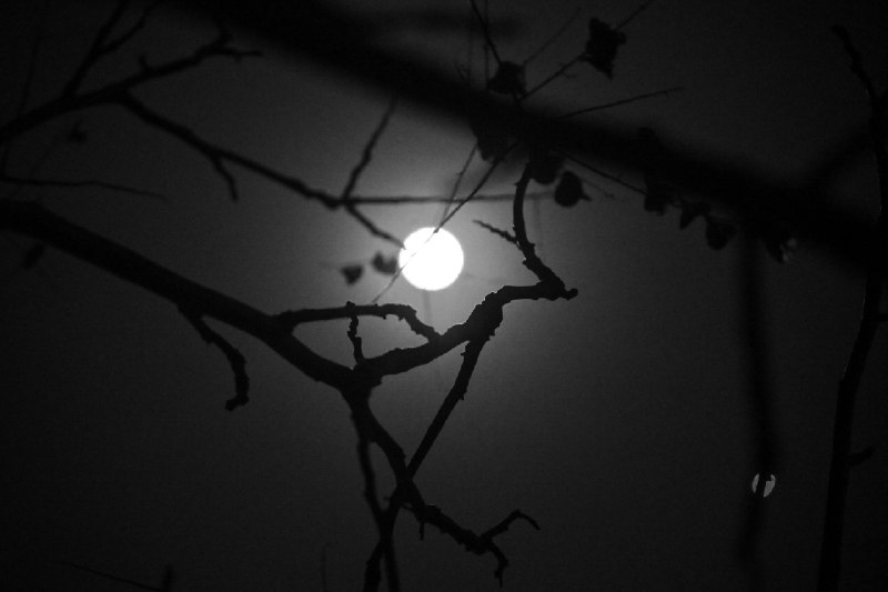 Moonlight shadowMoonlight shadow