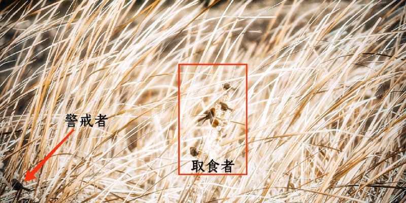 Post by 棘----------------------棘(@me@si-on.top) says