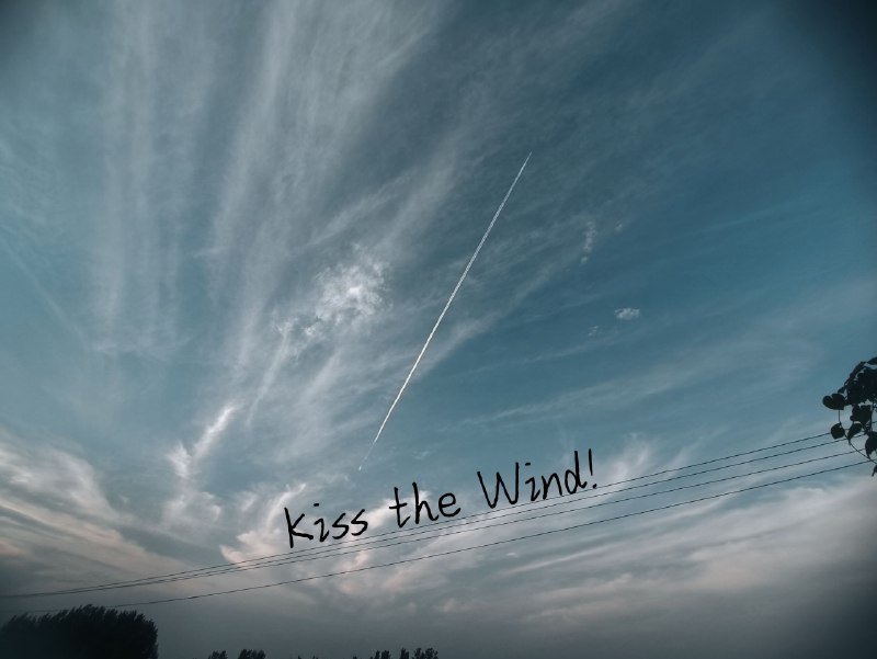 Kiss the wind🍃Kiss the wind🍃