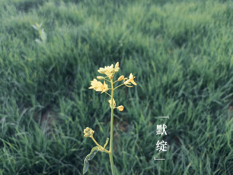 #摄影#摄影