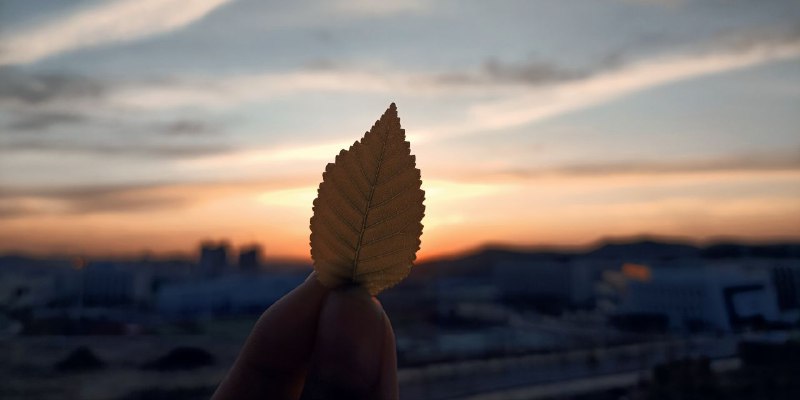 他奶奶的，为了看日落翻个窗户又怎样？！念叨个甚么！他奶奶的，为了看日落翻个窗户又怎样？！念叨个甚么！