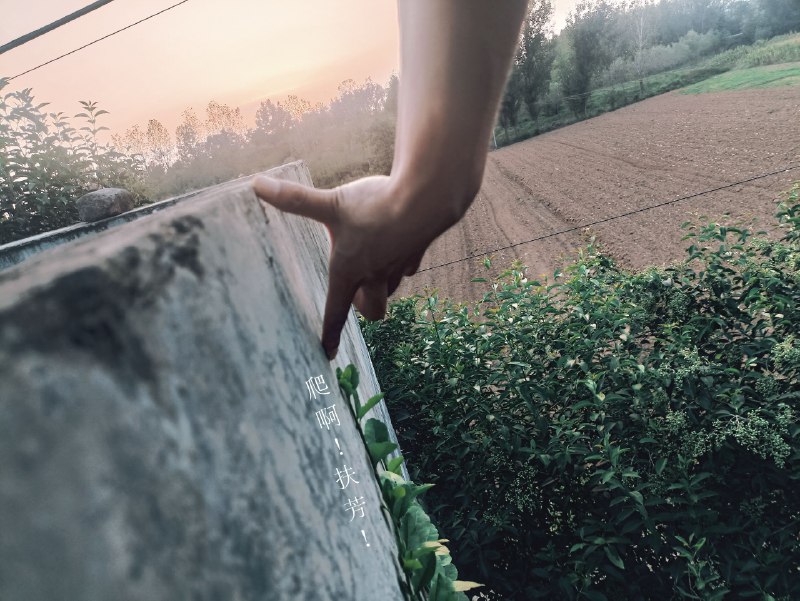 白露，生命最后冲刺与收获的节气白露，生命最后冲刺与收获的节气