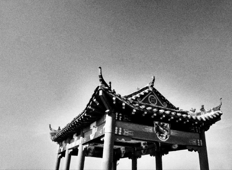 #黑白 #南阳#黑白 #南阳